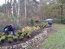 2010_11_13 friedhof_3